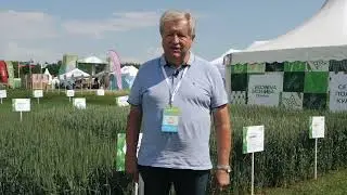 Вилли Древс Доктор агрономии и консультант компании 