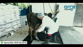 KURBAN KALDIRMA HALATI
