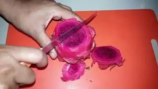 কিভাবে ড্রাগন ফ্রুট কাটতে হয় | ড্রাগন ফল কাটার সহজ উপায় | HOW TO CUT DRAGON FRUIT EASILY ?
