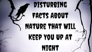Disturbing Facts About Nature That Will Keep You Up At Night!
