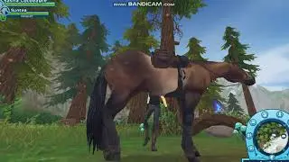 Rhiannon Rune Runner Horse Quest gear and clothing numbers Star Stable Online