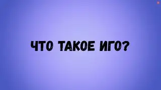 Что такое ИГО?