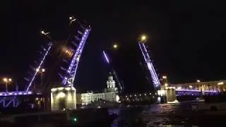 Kot and St.Petersburg