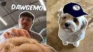 POV: You're A Dog In Esports | EG Dawg Vlog