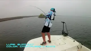 Choke Canyon  Chaos, Bass Beatdown