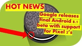 Hot Today Google releases final Android 8 1 beta with support for Pixel 2’s
