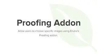 Envira Gallery Proofing Addon