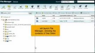 How to use the Disk Space Usage tool in cPanel
