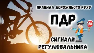 ПДР | Сигнали регулювальника | Правила дорожнього руху | Модуль велоспорт | Фізична культура