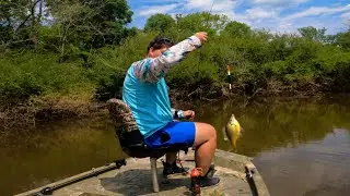 Bream Fishing Flooded Swamp