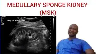 Renal ultrasound pathologies and structural anomalies: Live lecture series
