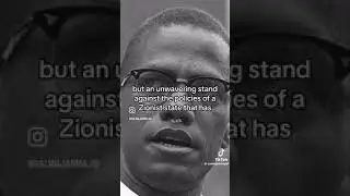 Malcolm X Speaks on P@L3Stine