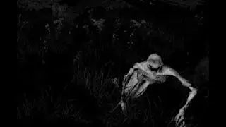 Cryptids and Monsters:  "Holland Michigan 2018", a Crawler experience in the middle of a Park!!