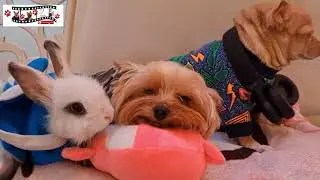 📢Вот это ДОКТОР!