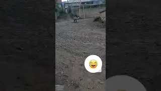 Хуьх балайрин какаяр 😄