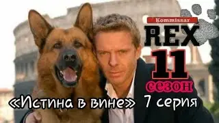 Комиссар Рекс, 11 сезон, 7 серия «Истина в вине»