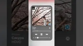 Hovo - Сакура