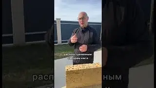 Обращайтесь за ракушкой к нам @nov_svet.ru