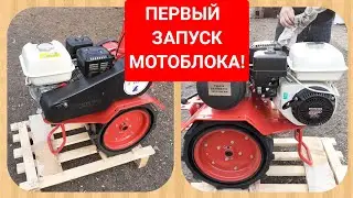 Motoblock Agat First start and running-in.