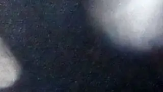 Lucid Fly - Waiting