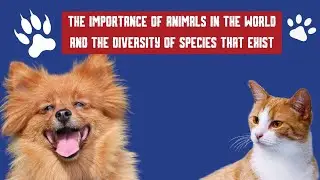 The importance Of Animals In The World And The Diversity Of Species That Exist.