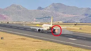 BIRD STRIKE Condor Airbus A321 at Madeira Airport Members Only