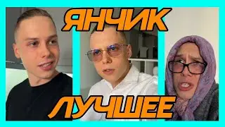 ЛУЧШИЕ ВИДОСЫ ЯНЧИКА 2024 | ЗАСМЕЯЛСЯ ПОДПИСАЛСЯ!
