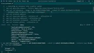 Launching an Instance into a Public Subnet [AWS: Building Reliable Architectures] {SAA-C03}