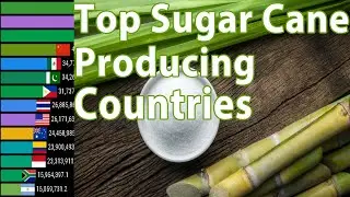 Sugar Cane | Top Sugar Cane Producing Countries in the World | 1961-2019 | Countries Ranking