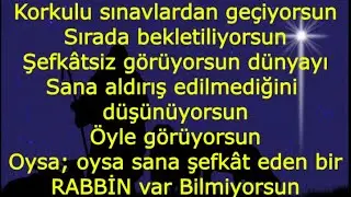 #HZ
