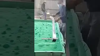 Immersion powder coating 