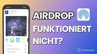 AirDrop not working on your iPhone? Here's what you can do [2025]