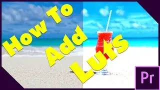 How to add luts Premiere Pro -  Premiere Pro 19