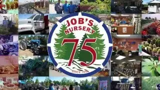 Job's Intro