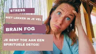 Stress, brain fog, buikpijn, geld zorgen, stress, eenzaamheid.Spirituele detox!! Persoonlijk verhaal