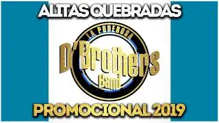 Alitas Quebradas Orquesta D'Brothers Band Exito 2019