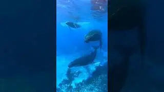 SOUND ON #shorts