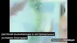 oriflame aqua rhythm дневной крем 2010 реклама
