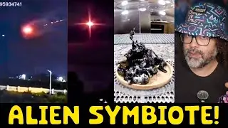 UFO EGG CRASH LANDS: ALIEN HATCHES!