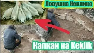 Установка Ловушка на Куропатка (Кеклик) 2020 Тарзи таер кардани Тур н.Дарвоз.Keklik in Tajikistan