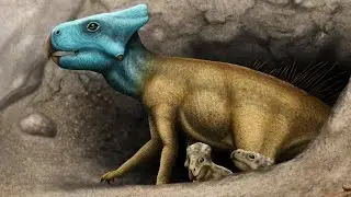 Microceratus - Pequeño Cuerno - DinoPedias
