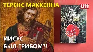 Теренс МакКенна – Иисус Был Грибом?!