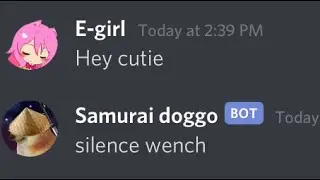 The last Discord mod
