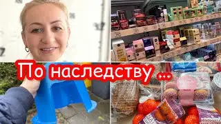 Блогеры Германии ✔️ покупки в магазине DM ✔️продукты из Aldi ✔️ Влог