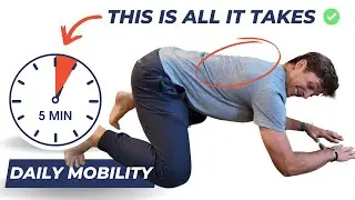 5-Min Mid-back (Thoracic) Advanced DAILY MOBILITY Routine!