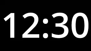 12 MINUTE 30 TIMER  with alarm -   COUNTDOWN Clock Alarm