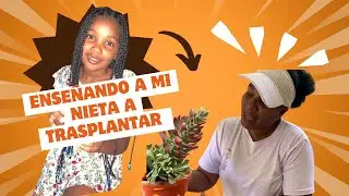 Acompáñame a enseñar a mi nieta a reproducir