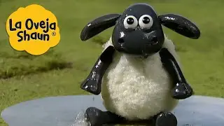 La Oveja Shaun 🐑 Timmy va a nadar 🐑 Dibujos animados para niños
