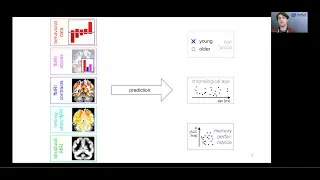 OHBM 2022 – Oral Session Talk: 