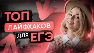 Советы для тех, кто сдаёт ЕГЭ | Обществознание ЕГЭ с Олей Вебер | 2026 | СМИТАП